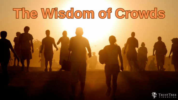 Blog Thumbnail