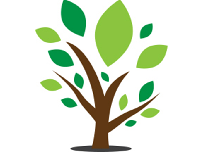 TrustTree Financial